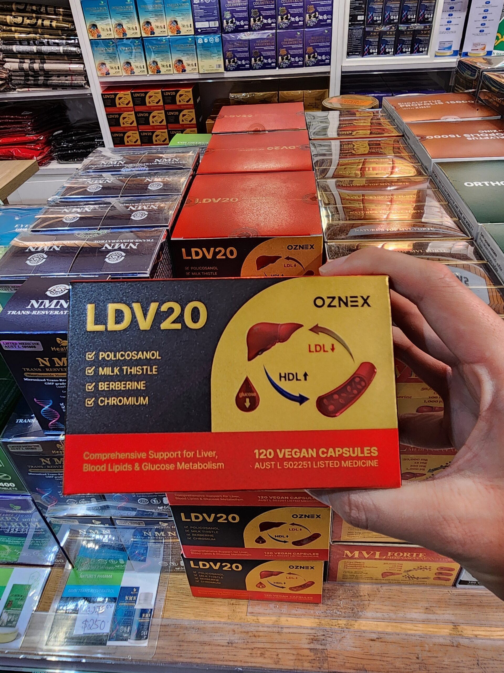 폴리코사놀 ldv20