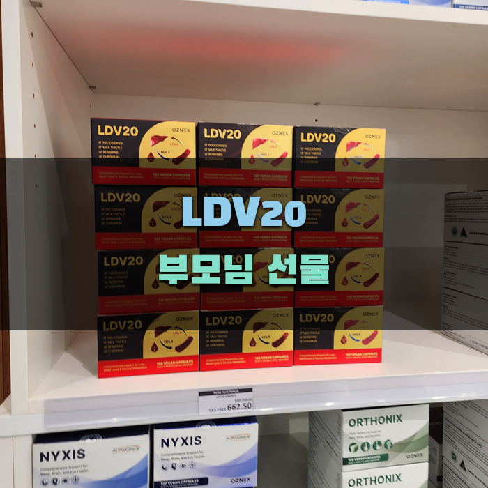 부모님께 LDV20을 추천하는 이유와 사용법