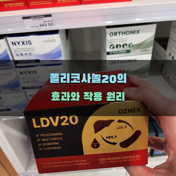 폴리코사놀20의 효과와 작용 원리