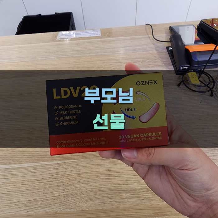 부모님 선물로 좋은 취미 용품