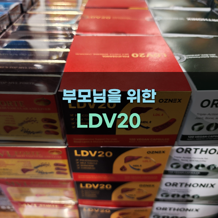부모님을 위한 LDV20 구매 가이드