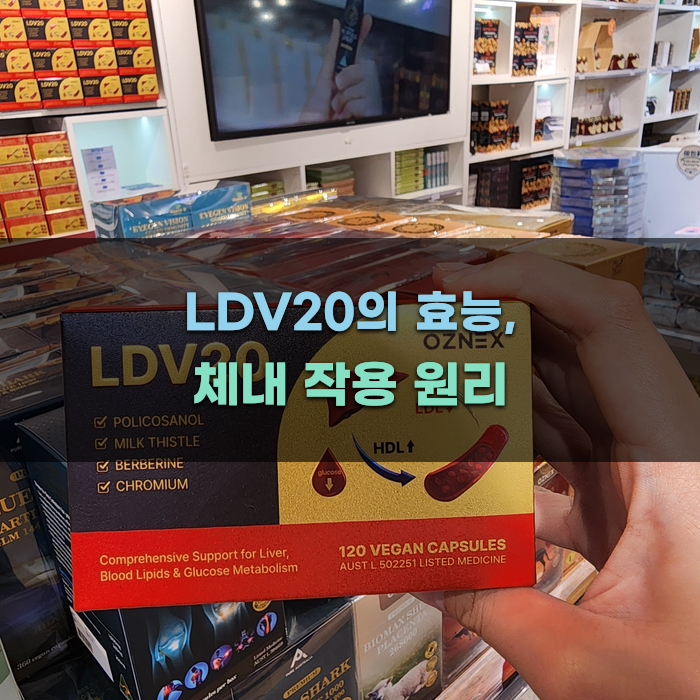 LDV20의 효능, 체내 작용 원리
