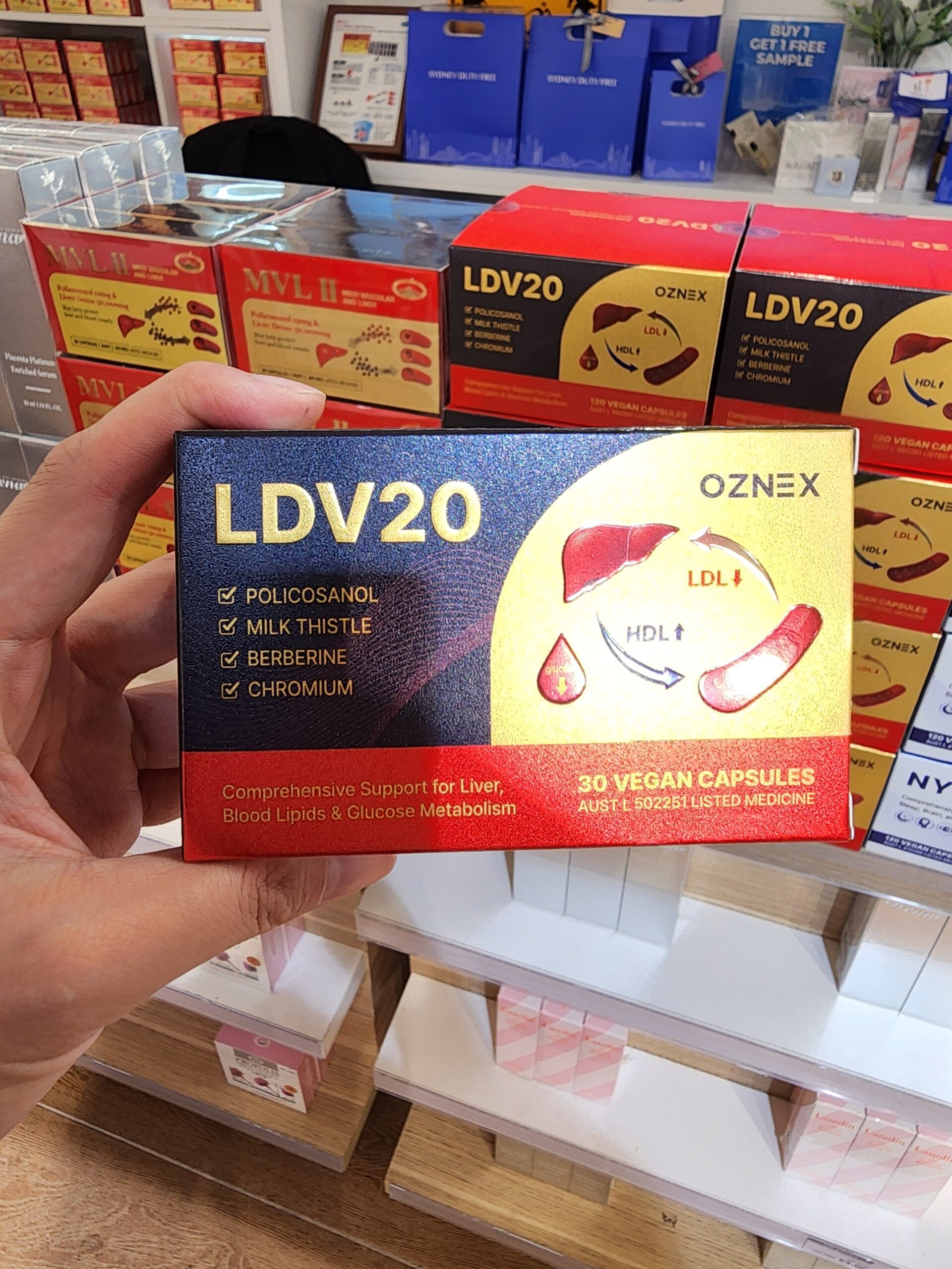 LDV20 부모님 선물